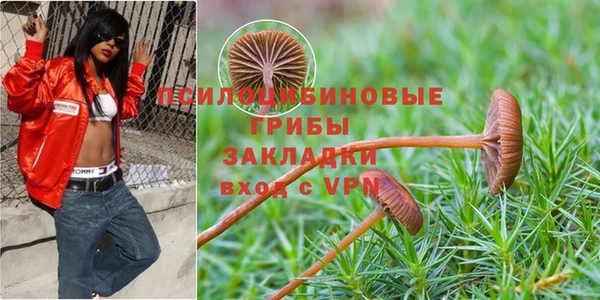 гидропоника Алексин