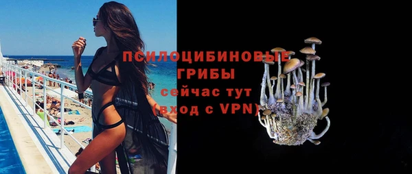 эйфоретик Алексеевка