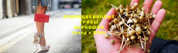 jwh Алзамай