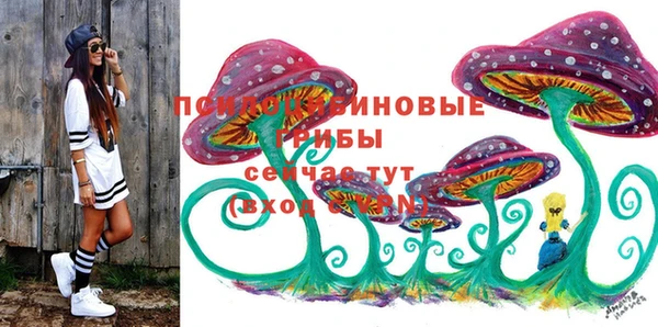 гидропоника Алексин