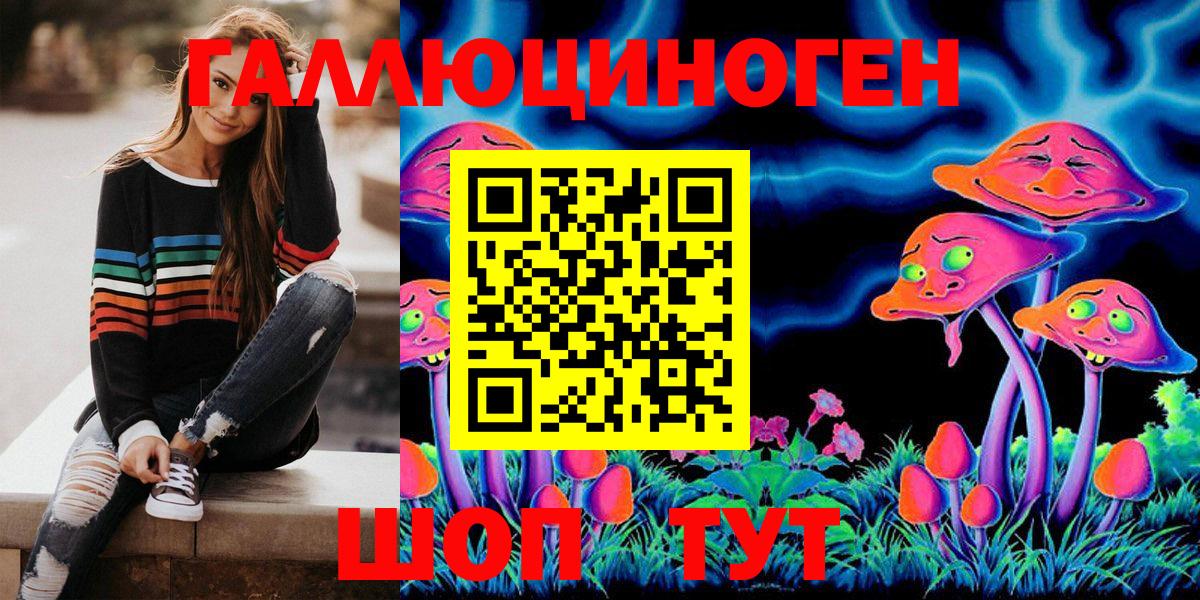 Псилоцибиновые грибы Psilocybine cubensis Волжский