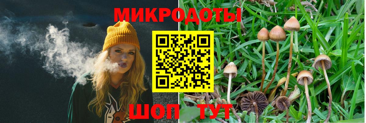 Галлюциногенные грибы GOLDEN TEACHER  Вход с VPN  Волжский 